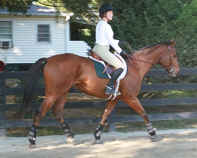 Fame for a Day and Gloria Coleman at the Imtiaz Anees clinic at Bits & Bytes Farm.