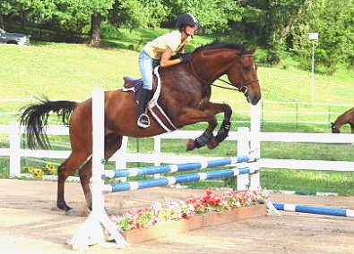 OTTB success stories.
