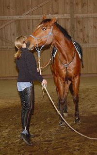 Fame snuggles with mom Gloria at the Biltmore Estate Stables.