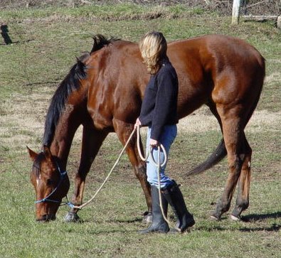 Former Bits & Bytes Farm horse,  Fame for a Day and Gloria Coleman.