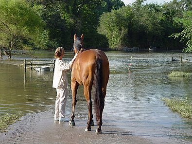 Fame and Gloria survey the damage done by the hurricanes to the Biltmore Estate in Ashville, NC