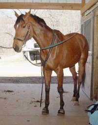 Fame for a Day - May 2005