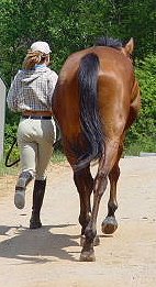 Thanks For All Your Love and Support,