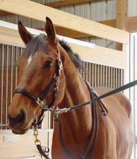 Fame for a Day - May 2005