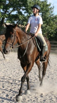 Finders Chance in training.