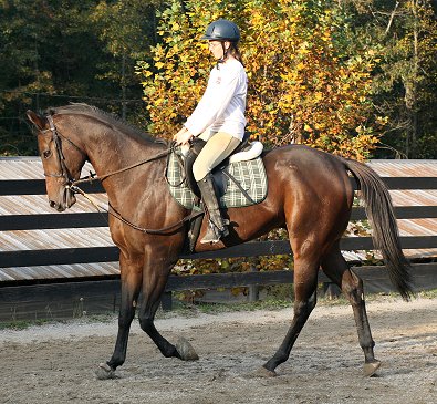 Finder's Chance and Kimberly Horne. October 22, 2006