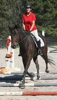 Bits & Bytes Farm Horse For Sale - Finder's Chance and Missy Miller. October 28, 2007 