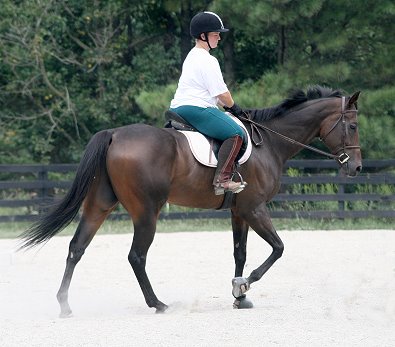 OTTB- Finder's Chance and "Friend of Bits & Bytes Farm" Jen Bishop