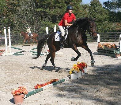 Bits & Bytes Farm Horse For Sale - Finder's Chance and Missy Miller. October 28, 2007 