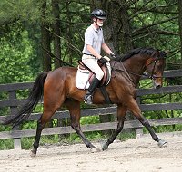 Finder's Chance takes Jim for a test ride. June 1, 2008 