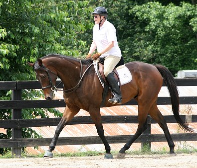 Mary Sue Younger takes Finder's Chance for a test ride. June 1, 2008