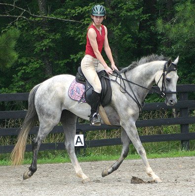 Grayboo displays his patriotism.