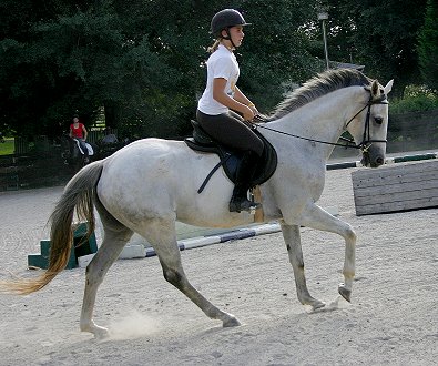 Grayboo - August 17, 2005