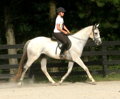 Grayboo - August 17, 2005