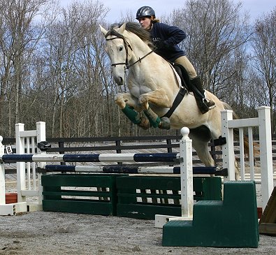 Grayboo and Paula. Grayboo is bold and brave and easy to jump.- January 15, 2006 