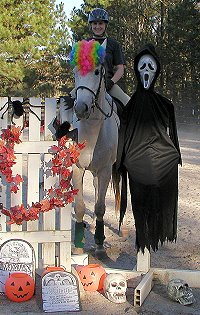 Grayboo is a real clown. October 23, 2005