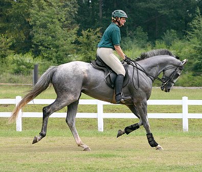 Grayboo displays his patriotism.