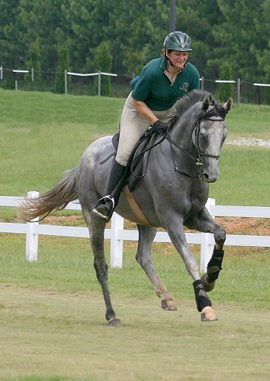 Grayboo training for water  jumps
