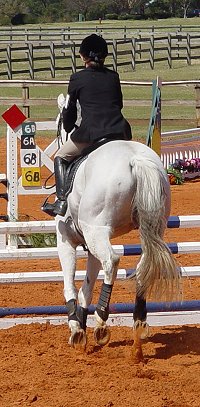 Grayboo and Amanda Cunefare at Ft. Rucker Horse Trials. March 2007