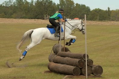 Amanda and Grayboo attended an Ian Stark clinic October 19-21 at Pine Top Farm