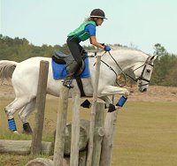 OTTB Grayboo competes in eventing.