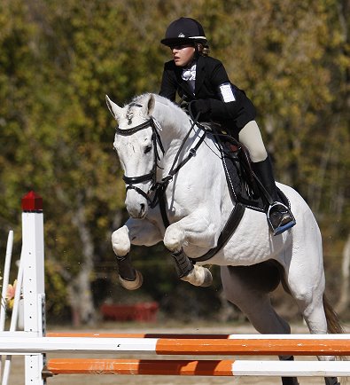 OTTB Grayboo jumped double clear in both stadium jumping and cross country. November 17-18, 2007