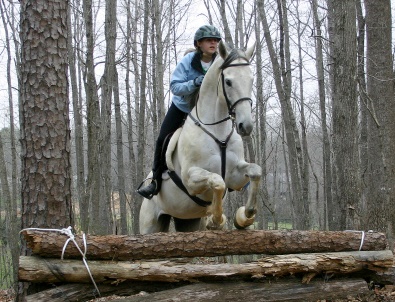 Grayboo is a bold and brave cross-country competitor.