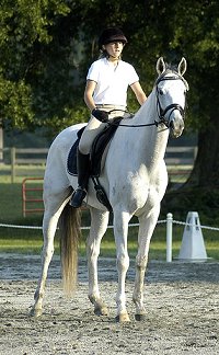 OTTB dressage photo copyright Mark Walter Lehner.Go to HoofClix.com to see more photos of Grayboo. www.HoofClix.com 