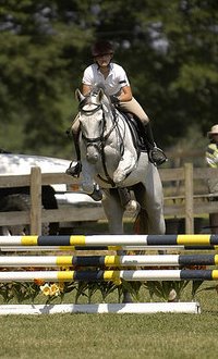 Photo copyright Mark Walter Lehner. Go to HoofClix to see more photos of Grayboo. www.HoofClix.com