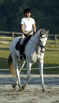 Photo copyright Mark Walter Lehner. Go to HoofClix.com to see more photos of Grayboo. www.HoofClix.com Thank you Mark for the use of these beautiful photos!!!