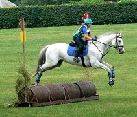 OTTB - Grayboo at the Kentucky Horse Park at the Midsouth Horse Trials.