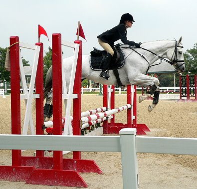Grayboo at the Kentucky Horse Park at the Midsouth Horse Trials.