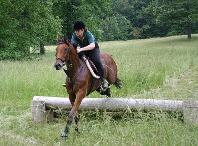 Elizabeth Wood has Heather's Best "on course" for a new career as a sport horse.