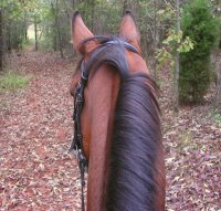 Come along for the Poker Ride!