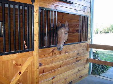 Heather's Best enjoys his new home in New Jersey.