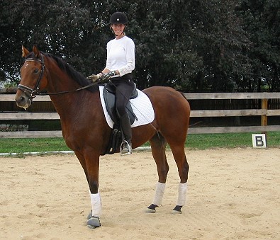 Heather's Best is a OTTB with a new career.