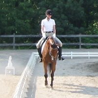OTTB - Heather's Best score of 62 in a dressage show. July 22, 2008