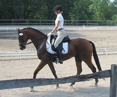 OTTB - Heather's Best score of 62 in a dressage show. July 22, 2008