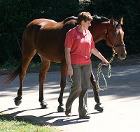 Elizabeth leads her special boy Heather's Best to the van taking him to his new mom in New Jersey. September 28, 2007