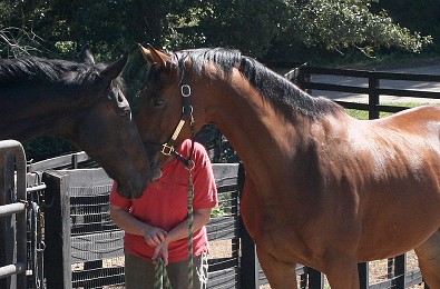 Heather's Best says good-bye to his best buddy and cousin Joe Bear. September 28, 2007