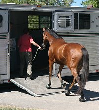 Elizabeth leads her special boy Heather's Best to the van taking him to his new mom in New Jersey. September 28, 2007