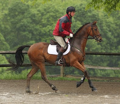 There were 26 horses competing in his division, and Heather was 4th after dressage, then had perfect cross country and stadium jumping rounds. (Doug's other ride took first place!)