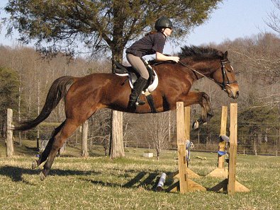 Ikon and Beth jumping on the farm. 