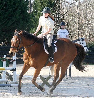 Ikon is an off-the-track Thoroughbred.