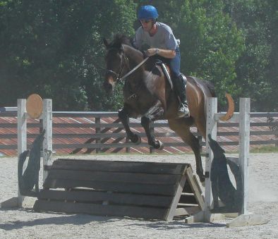 We have coops to get the Thoroughbred horses ready for fox hunting.