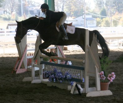 Irish Morning Mist and Megan Brown compete in jumper classes. November 2005