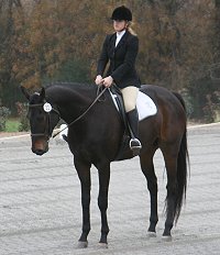 Irish Morning Mist and Megan Brown in their dressage test at Oxer Farm November 20, 2005