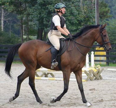 Knight Villain - Bits & Bytes Farm Thoroughbred for sale