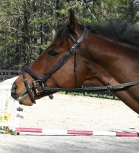 Knight Villain - April 3, 2005