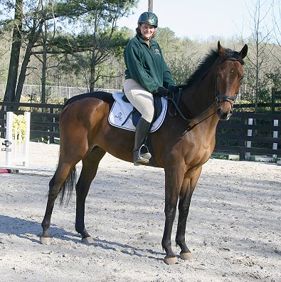 Knight Villain - Bits & Bytes Farm Thoroughbred for sale